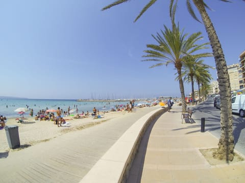 Beach nearby, sun loungers, beach umbrellas, 20 beach bars