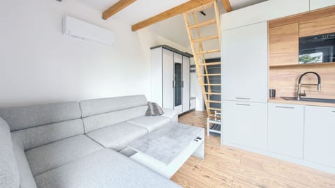 Apartment (10) | Living area | Flat-screen TV