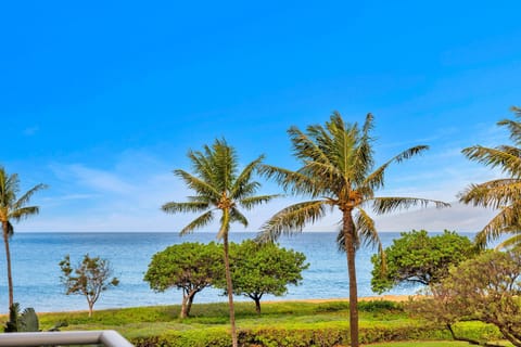 Partial ocean view framed by swaying palms and lush landscaping—your lanai is perfect for morning coffee or sunset drinks. HKH-203