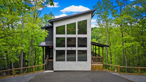 Black Bear Tower: a 3-story luxury cabin.