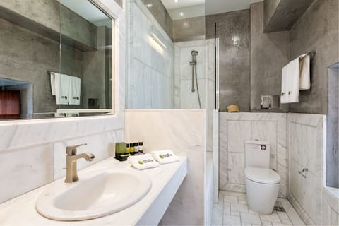 Luxury Suite, 1 Bedroom, Allergy Friendly, Mountain View | Bathroom | Rainfall showerhead, designer toiletries, hair dryer, slippers