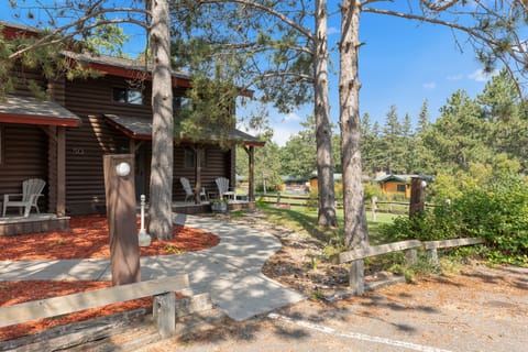 Inviting cabin exterior surrounded by shady pines and natural beauty.