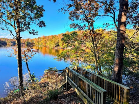 Your own serene private lakefront area for relaxing and boating.