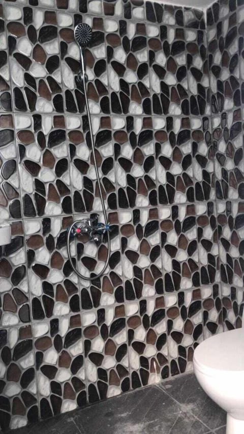 Shower, free toiletries, toilet paper