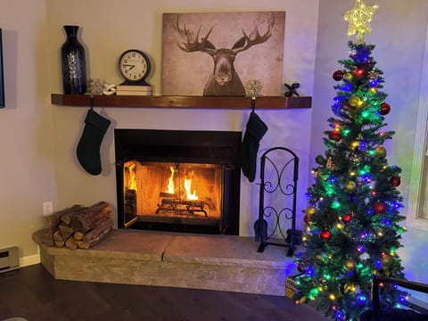 Cozy Fireplace at Christmas time