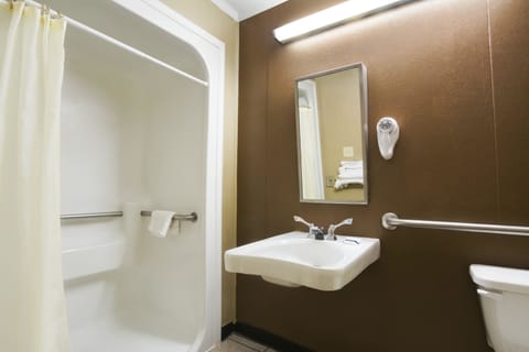 Standard Room, 1 Queen Bed, Accessible | Bathroom | Free toiletries, hair dryer, towels