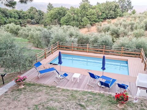 Swimming Pool, Furniture, Resort, Outdoor Furniture, Eco Hotel, Chair, Hacienda, Flowerpot, Estate, Shade