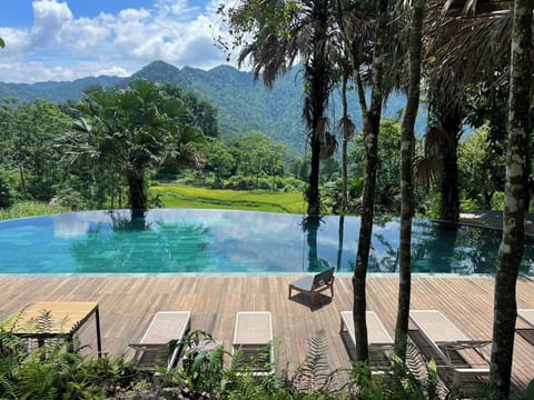 Outdoor pool, pool umbrellas, sun loungers