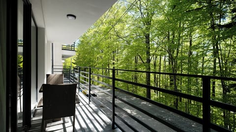 Apartment (F1) | Balcony