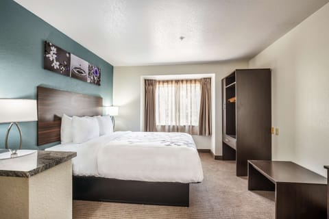 Desk, blackout drapes, soundproofing, iron/ironing board