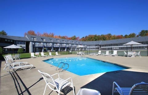 Dive into relaxation at the inviting outdoor pool surrounded by lush greenery.
