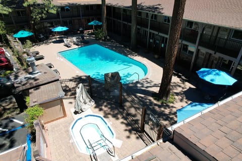 Aerial view of outdoor pool area with trees