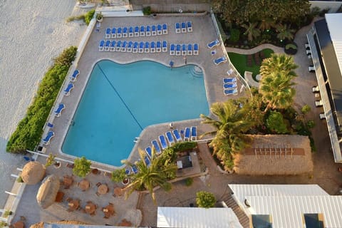 Dive into a sun-soaked pool oasis beside the sea.