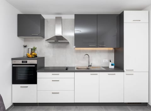 Apartment (Three Bedroom Apartment Kurte with Ga) | Private kitchen | Fridge