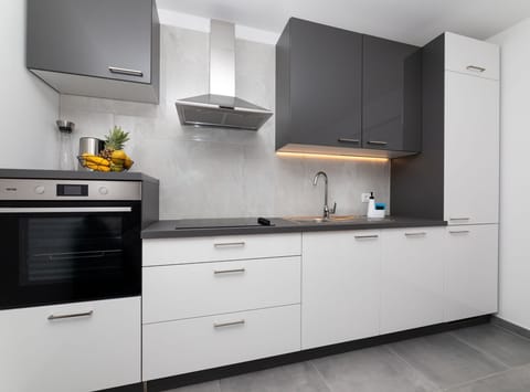 Apartment (Three Bedroom Apartment Kurte with Ga) | Private kitchen | Fridge