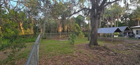 489729869 1703630590257882 1098430611070560008 n