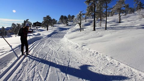 Snow and ski sports
