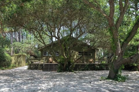 Welcome to 'Beach Cabin' by Salt Coast Hosts – where modern elegance meets coastal charm in Historic Corolla Village! ️ #BeachCabinRetreat #CorollaVillage