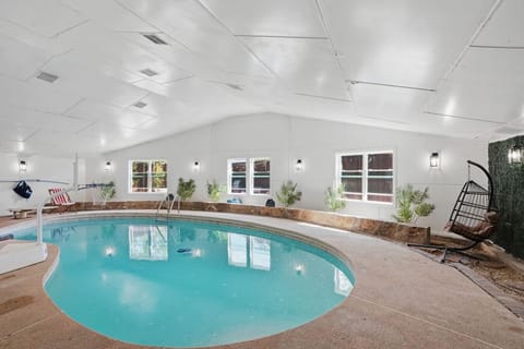 Bright, airy private indoor pool with large windows, tropical palm trees, egg swing chair, and a moss accent wall — designed to feel like a tropical escape without leaving home. Swim any time of year in Irving, TX.