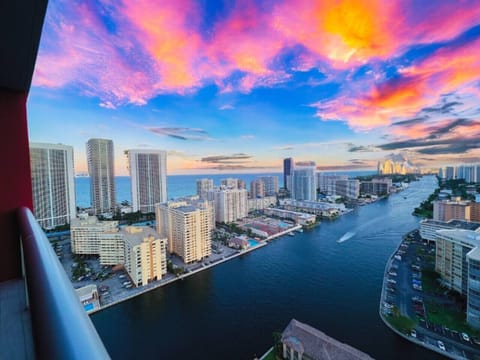 Clear view of Miami skyline and palm trees from the balcony.
