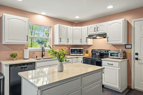 Bright kitchen window view bringing the outdoors in — a cook’s dream.