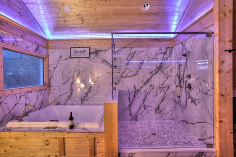 Huge Walk in Shower and 2 Person Spa