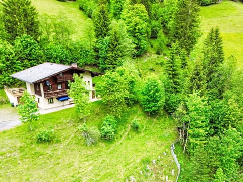 Tree, House, Cottage, Home, Rural Area, Forest, Larch, Village, Hill Station, Farmhouse