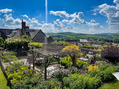 Breakfast, lunch and dinner served