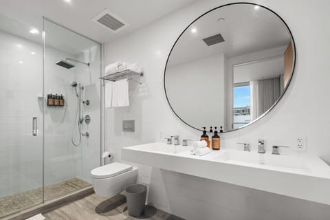 Shower, eco-friendly toiletries, hair dryer, towels