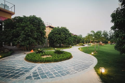 Garden