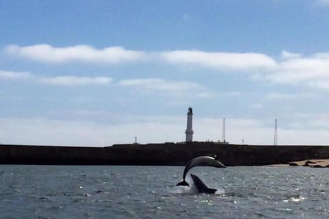 Surroundings [summer] (1-5 km)