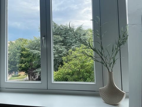 Tranquil window view with lush greenery and soft daylight — the perfect spot to unwind and enjoy nature from your room.