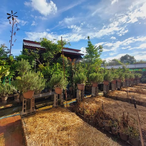 Basic Shared Dormitory, Lanai, City View | Soundproofing, free WiFi