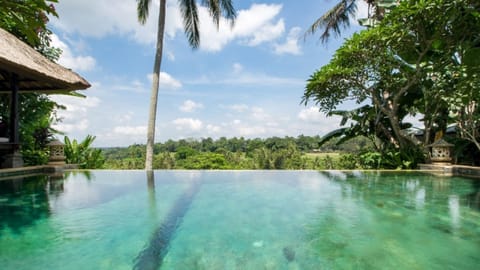 Swimming pool with view natural garden