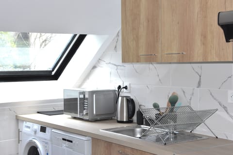 Deluxe Apartment | Private kitchen