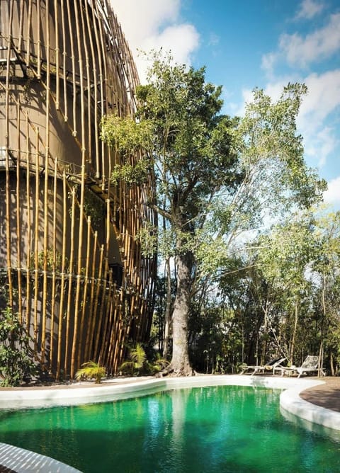 Shared cenote-style pool surrounded by jungle (community area)