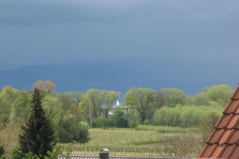 Surroundings [summer] (1-5 km)