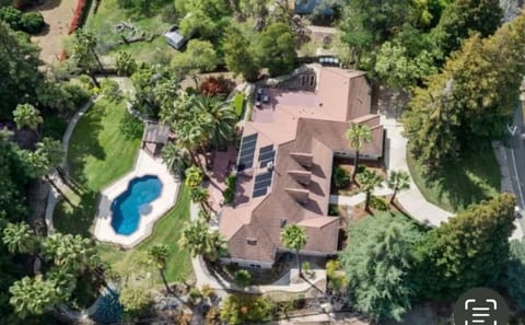 Bird view