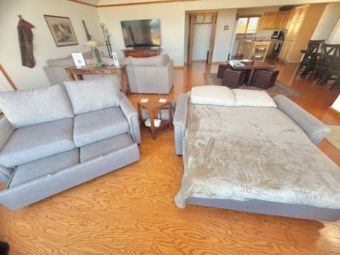 Two near-full sized sleeper sofas