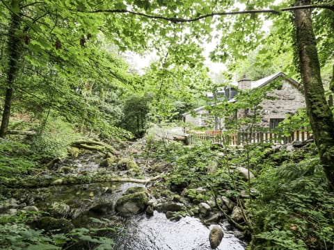 Cottage | Property grounds