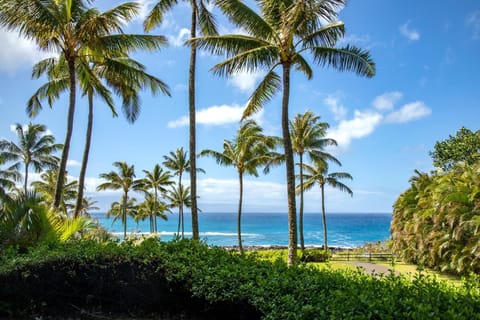Palm trees and ocean breezes, where blue water meets the horizon just beyond your manicured lawn at Montage Kapalua Bay.   MON-2204