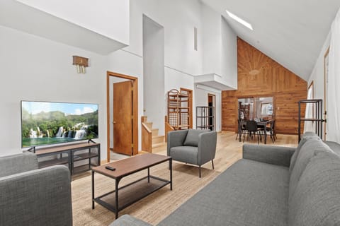 Living room and TV