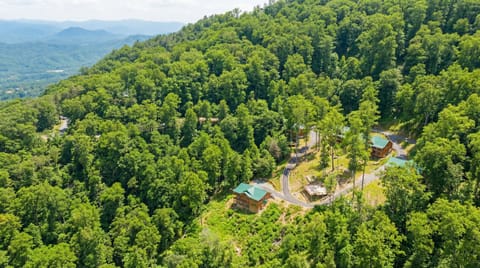 Tucked away in the Smokies—your own private resort.