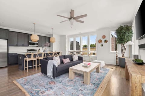 Living Room and Kitchen Area