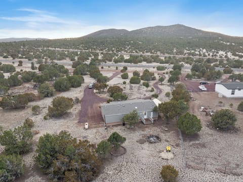 [1 Acre Lot] Spend some time with the land, covered in ancient volcanic rocks. Add some water to the bird feeders and watch them fly to you!