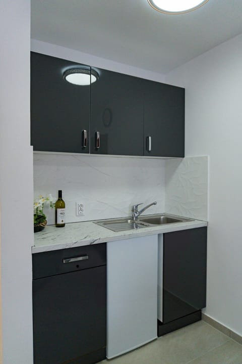 Family Apartment, Balcony, City View | Private kitchen | Fridge, cookware/dishes/utensils