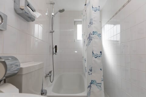 Basic Triple Room | In-room safe, desk, iron/ironing board, free WiFi