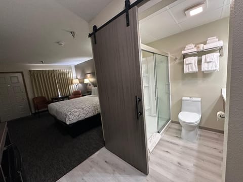 Standard Room, 1 King Bed, Balcony | Blackout drapes, free WiFi, bed sheets