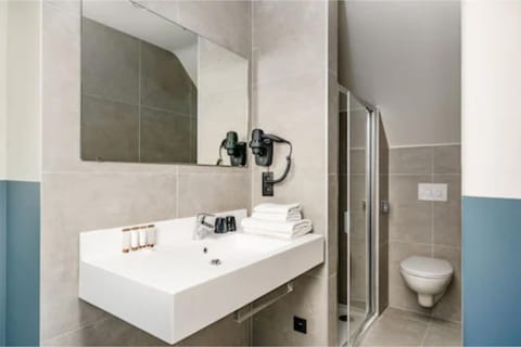 Deluxe Double or Twin Room, Garden View | Bathroom | Free toiletries, soap, shampoo, toilet paper