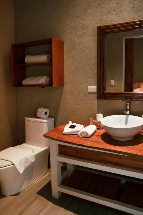 Basic Room | Bathroom | Shower, towels, soap, shampoo